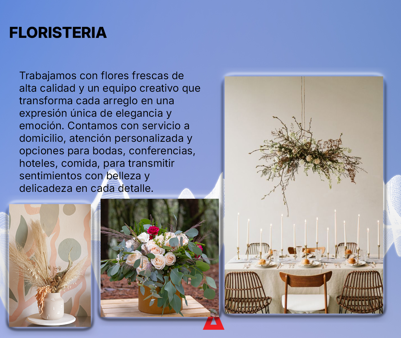 slideshow_7